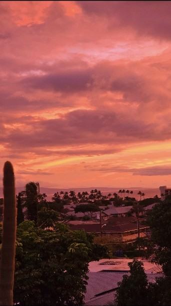 86 Koki Pl - Photo 7 of 37