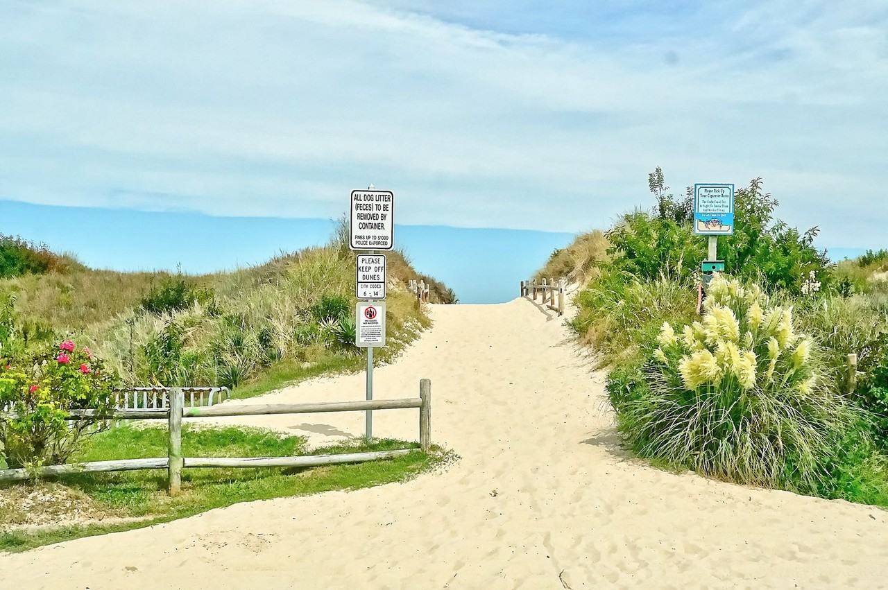 2210 Wood Ibis Way - Photo 5 of 38