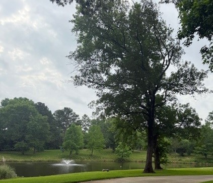 1 Spring Hill Rd - Photo 2 of 14