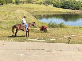 featured image of 13325 Brush Creek Rd