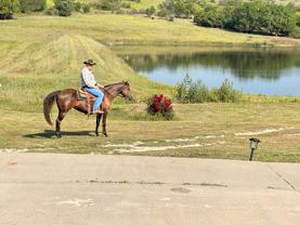 13325 Brush Creek Rd - Photo 1 of 1