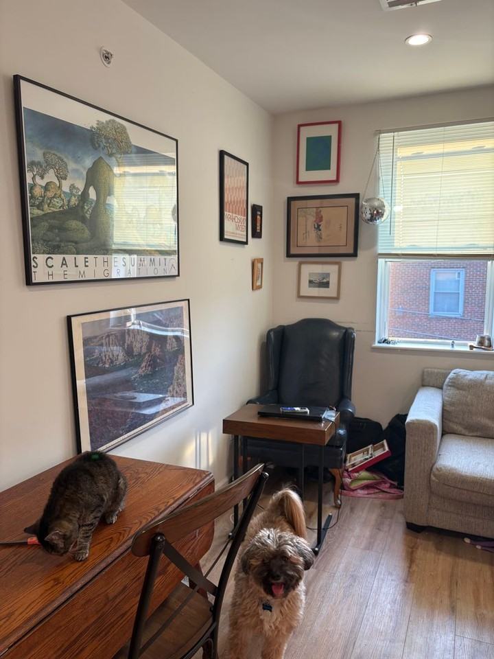 737 S 4th St - Photo 6 of 13