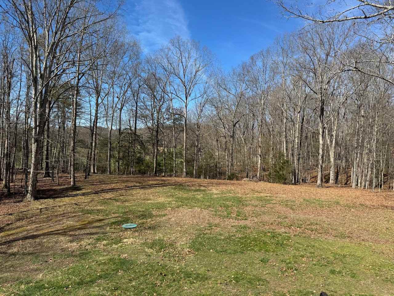 95 Amber Woods Dr - Photo 2 of 33