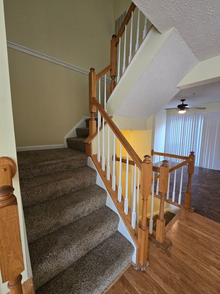 4927 Bristle Cone Cir - Photo 5 of 20