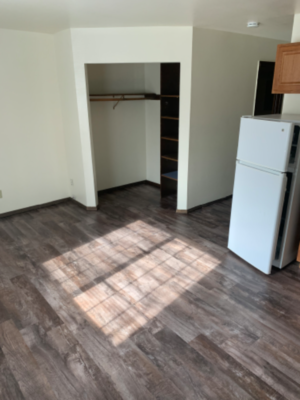 454 W Dayton St - Photo 5 of 9