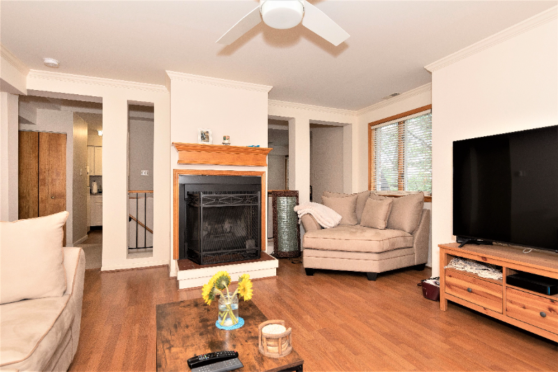 8 Rex Ave #11 - Photo 6 of 18