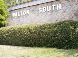 featured image of 303 South Ave #31