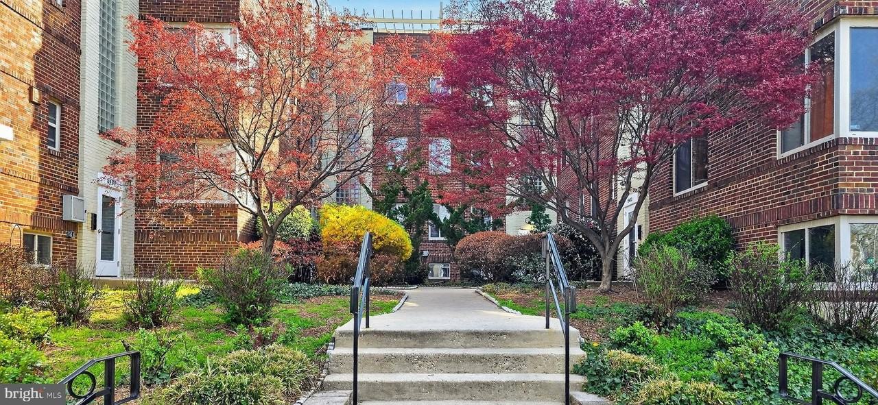 5407 9th St Nw Apt 306 - Photo 3 of 27