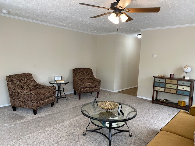 1255 Concord Dr - Photo 5 of 12