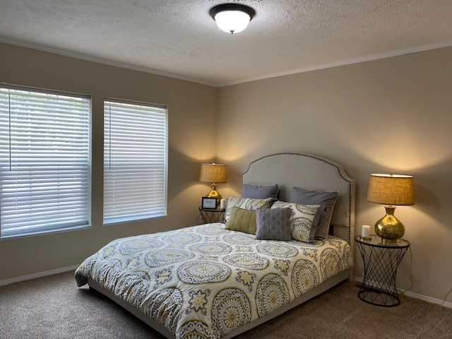 1255 Concord Dr - Photo 6 of 12