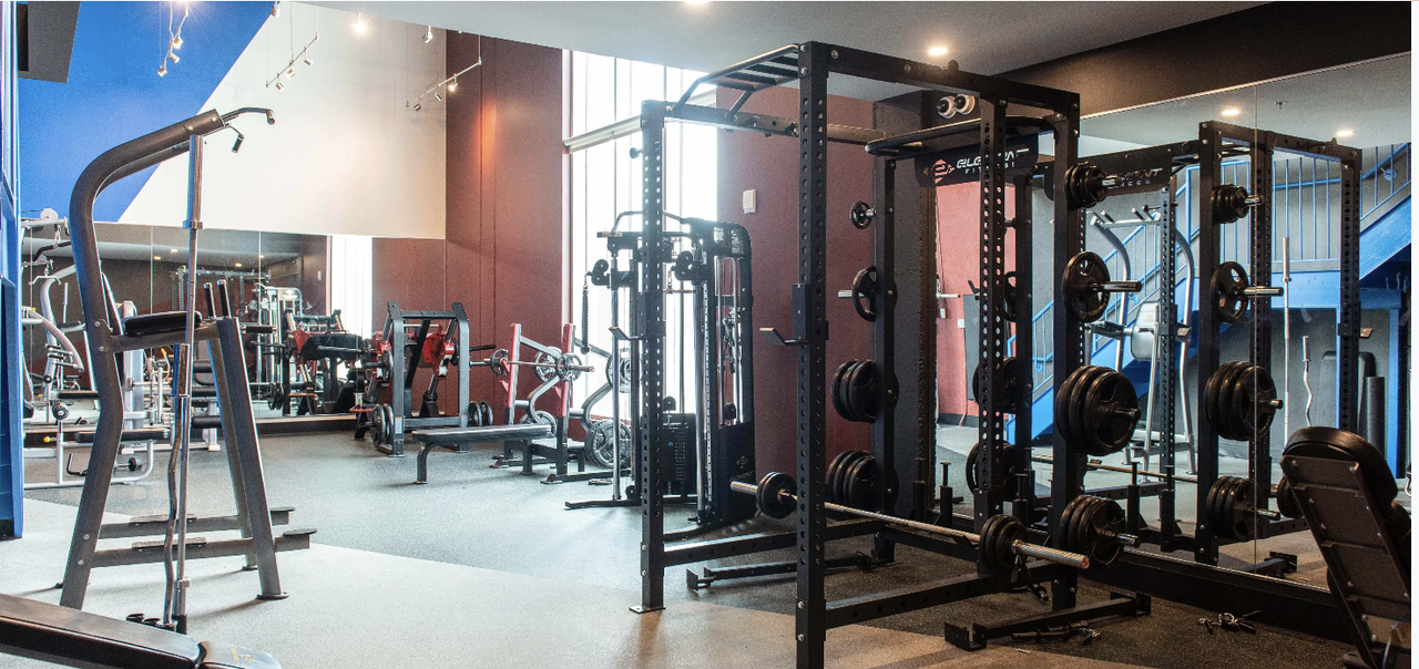 305 Rideau Street - Photo 7 of 15