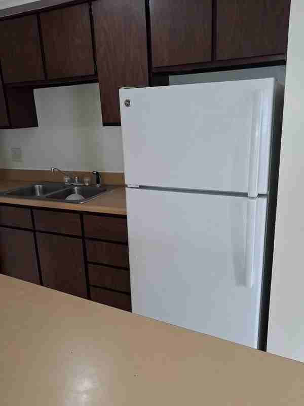 4944 Old Maysville Rd - Photo 2 of 16