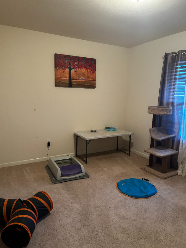 16 Tilden Howington Dr - Photo 4 of 7