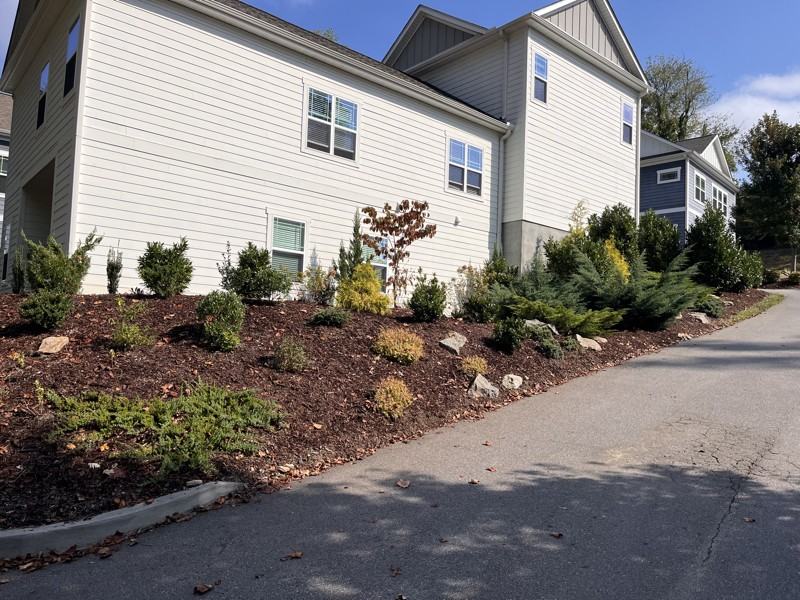 32 Plant Pl - Photo 5 of 37