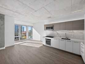 167 N Desplaines St #1306 - Photo 1 of 1