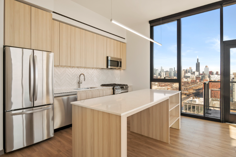 510 S Damen Ave #2104 - Photo 2 of 20