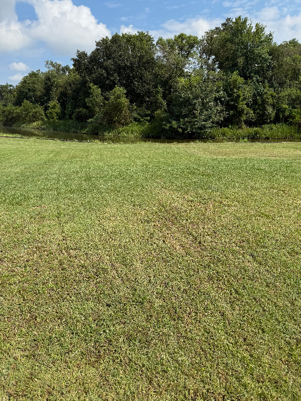 1206 E Saint Charles St - Photo 2 of 19