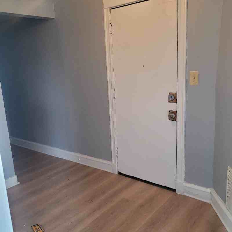 5213 S Indiana Ave #1A - Photo 5 of 17