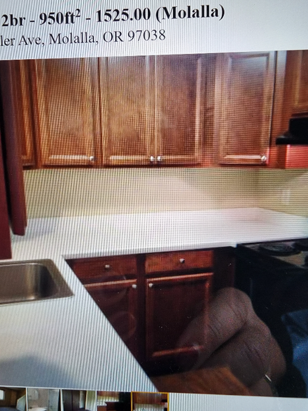 430 Metzler St #3 - Photo 5 of 6