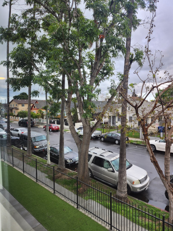 4828 Mckinley Ave - Photo 6 of 19