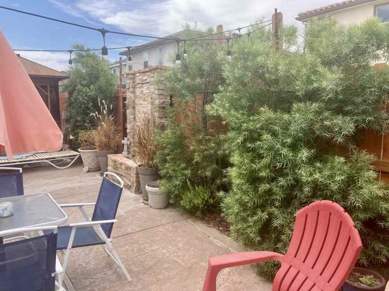 3213 Showcase Way - Photo 2 of 14