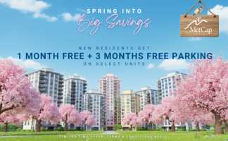 featured image of 737 Carnarvon St