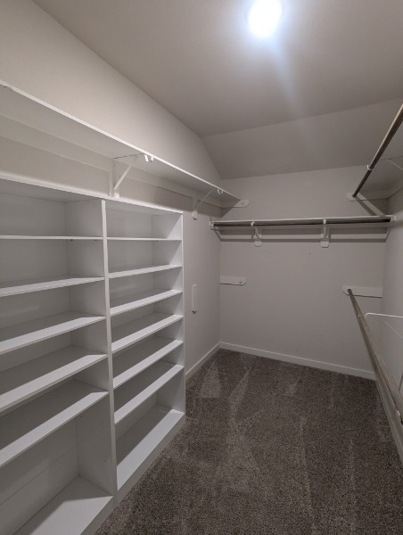 4311 Maple Root Ln - Photo 6 of 15