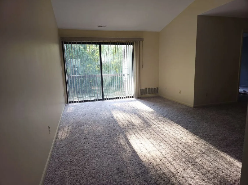 42794 Lilley Pointe Dr - Photo 7 of 20