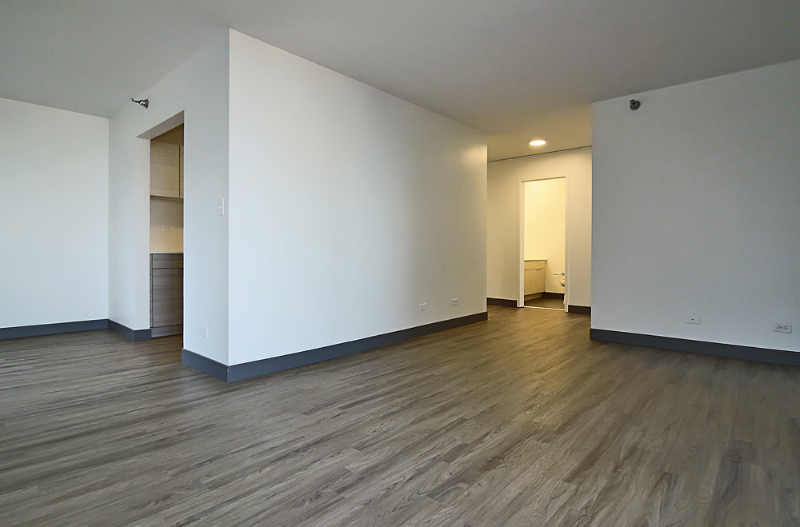 439 E Ontario St - Photo 4 of 15