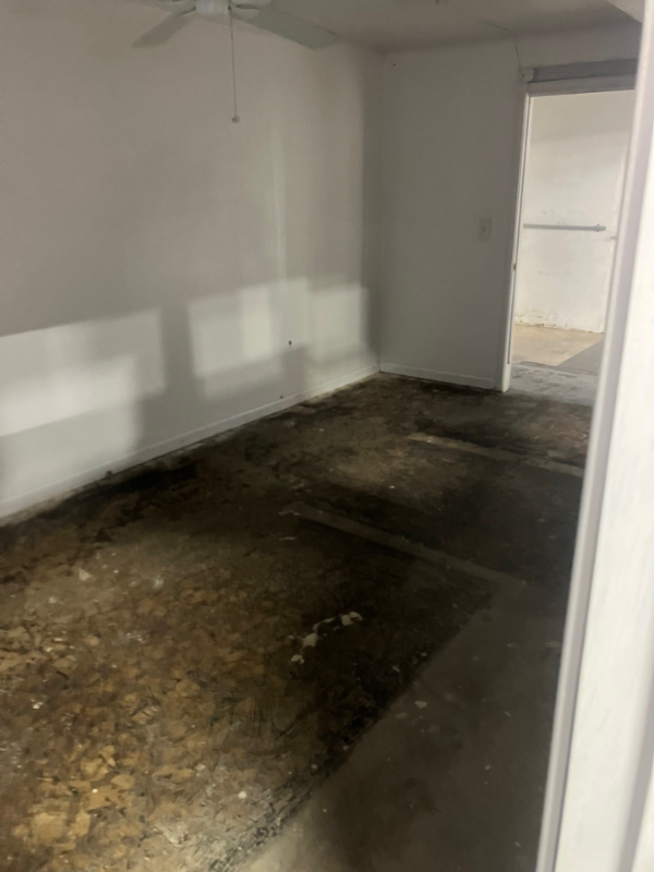 1224 International Blvd - Photo 7 of 9