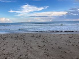 1192 Nettles Blvd - Photo 1 of 1