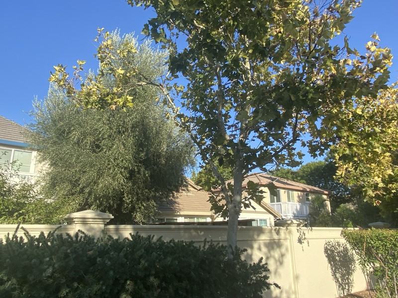9454 California Oak Cir - Photo 2 of 12