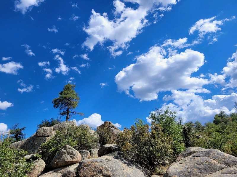 1135 Boulder Park Ave - Photo 3 of 14