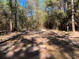 featured image of 310 Cotten Ln