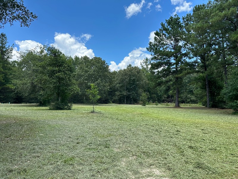 310 Cotten Ln - Photo 2 of 4
