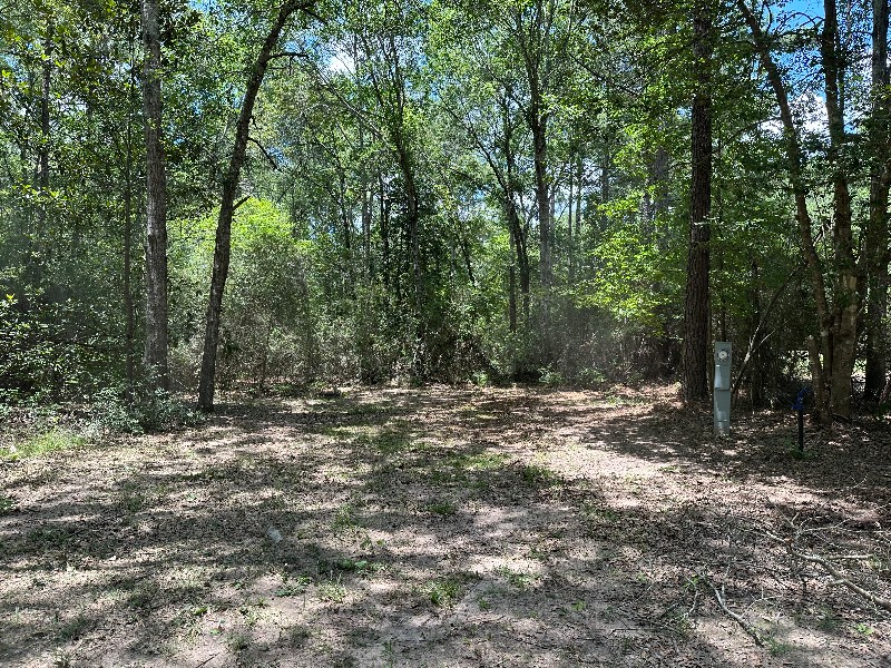310 Cotten Ln - Photo 4 of 4