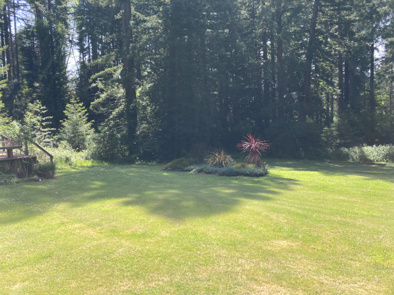 90 Whittier Ln - Photo 5 of 7