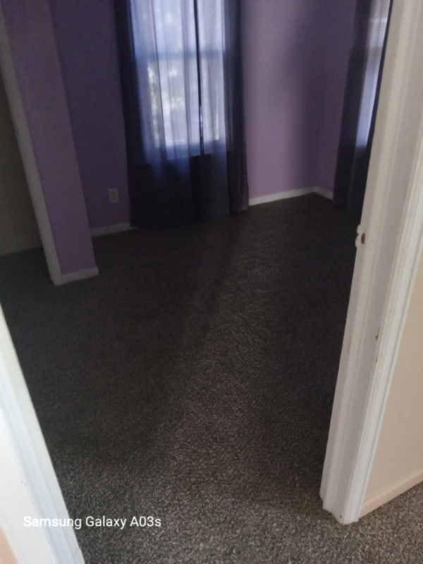 2435 Woodford St #4 - Photo 2 of 7