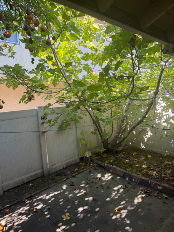 918 W Huntington Dr #C - Photo 7 of 7