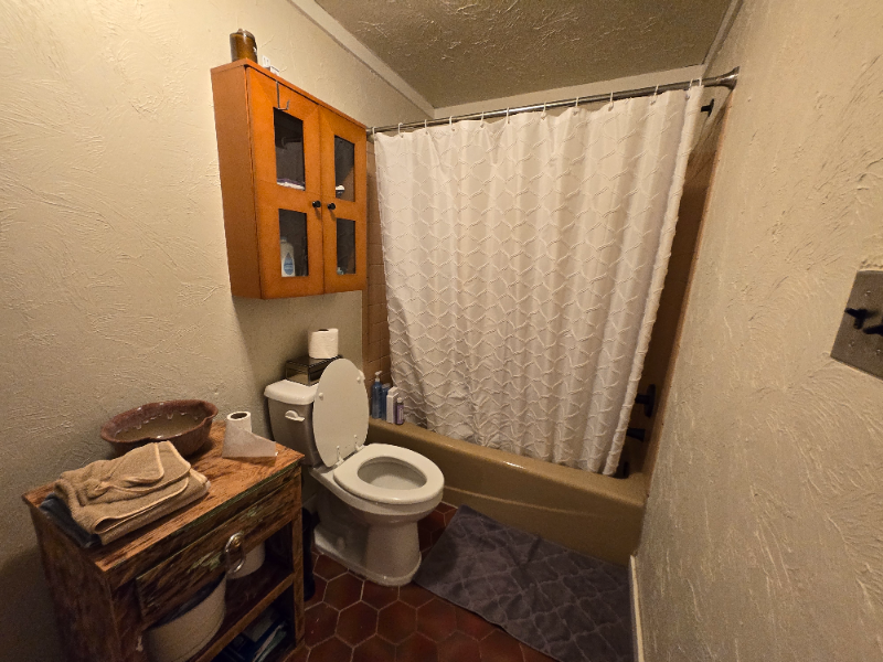 906 Tyson St - Photo 7 of 18