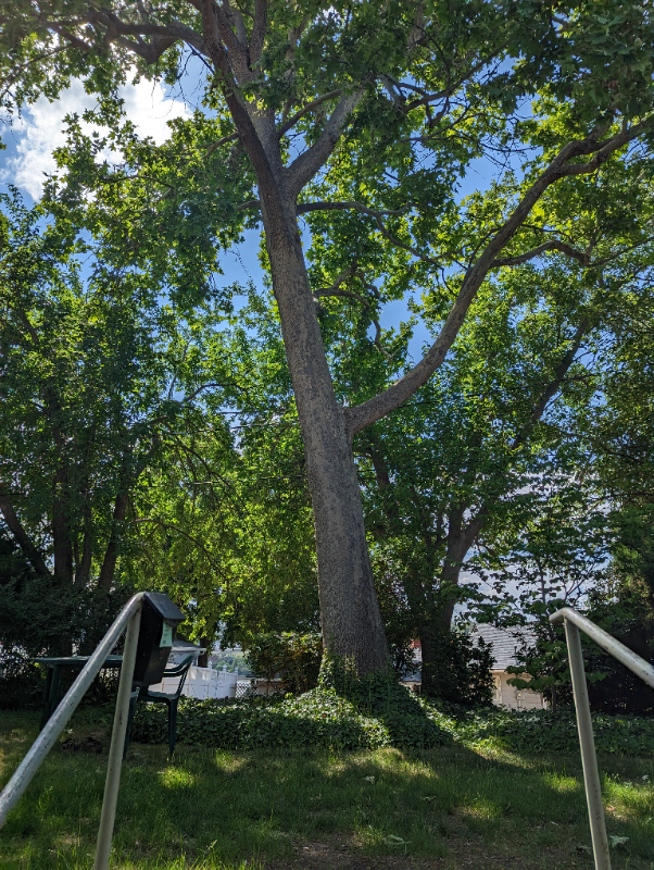 131 W 19th Ave #2 - Photo 4 of 9