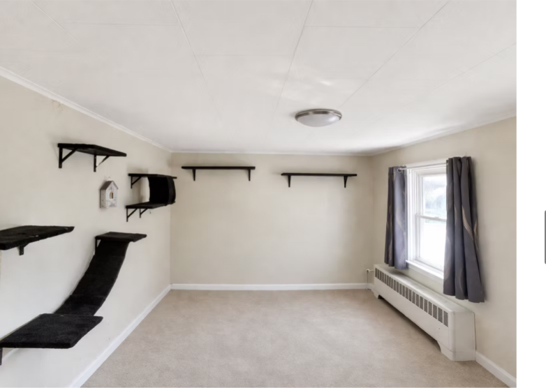 924 Ash St #102 - Photo 5 of 11