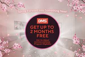 featured image of 87 Jameson Ave