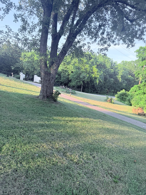 1315 Bell Grimes Ln - Photo 3 of 15