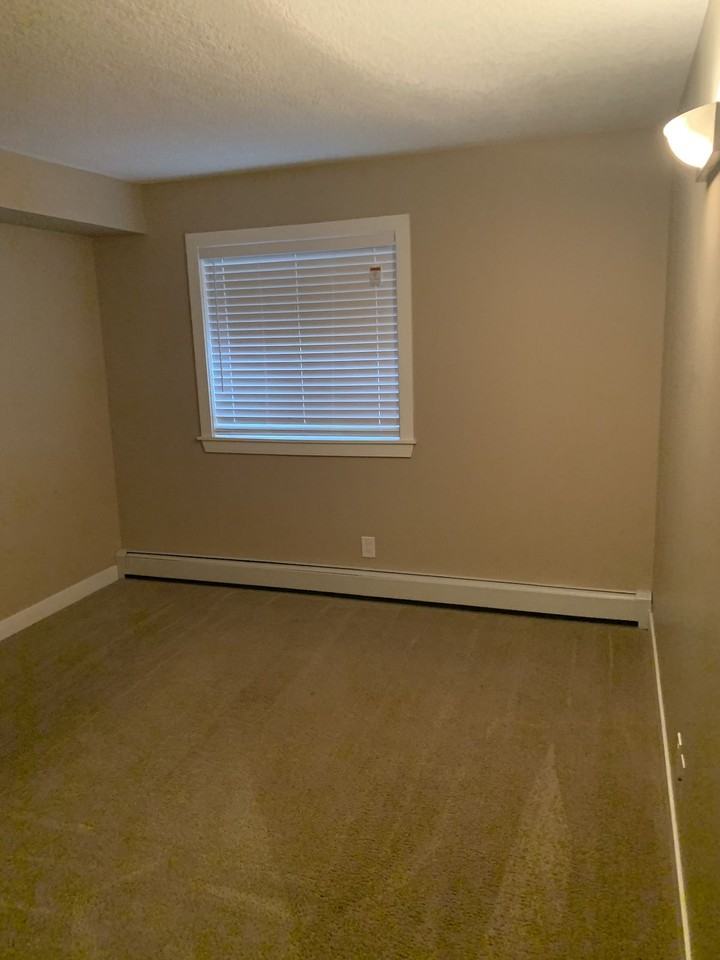 MISSION! - Photo 5 of 50