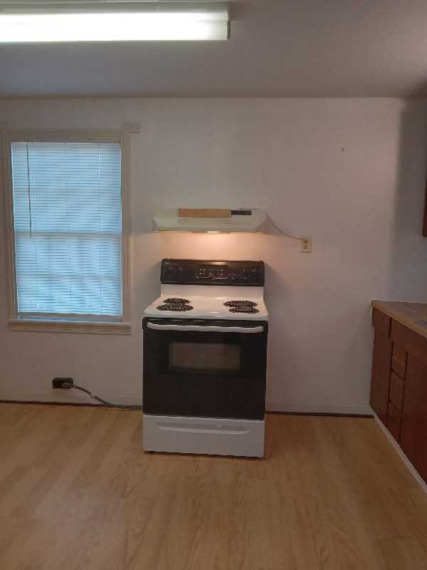 207 E Grand St #A - Photo 4 of 11