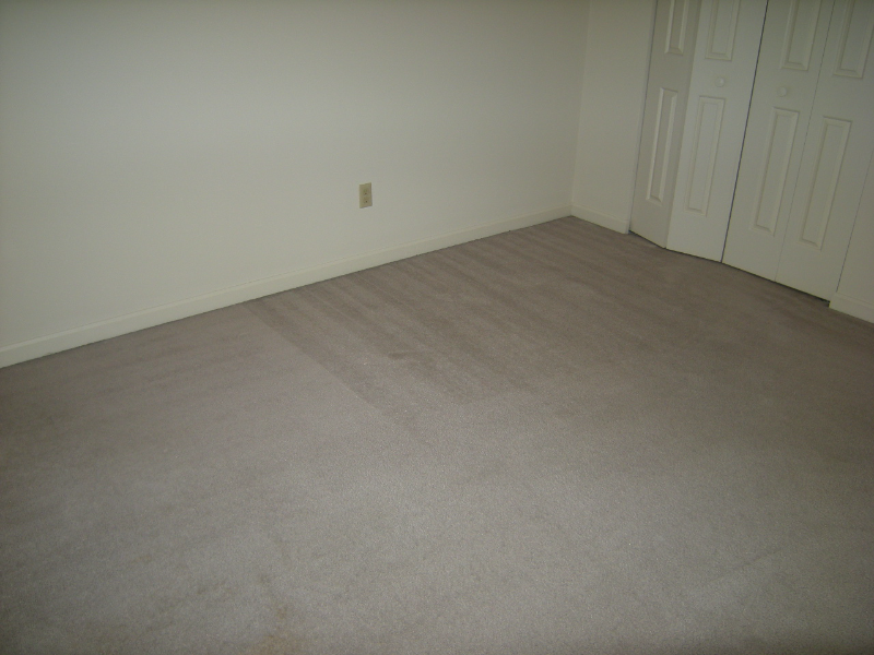 303 Mcdougal Ave #3 - Photo 7 of 15