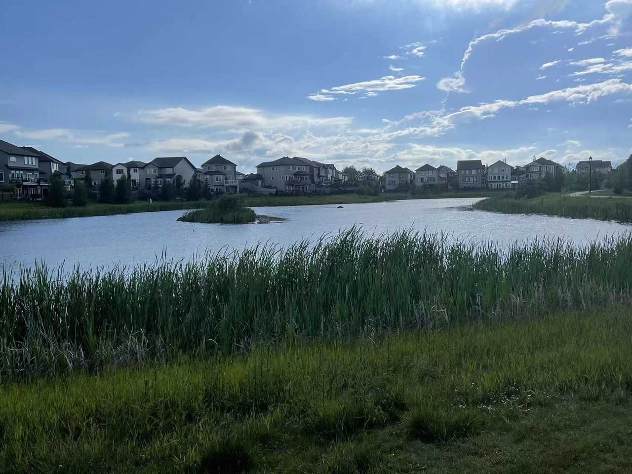 676 178 St Sw - Photo 5 of 21