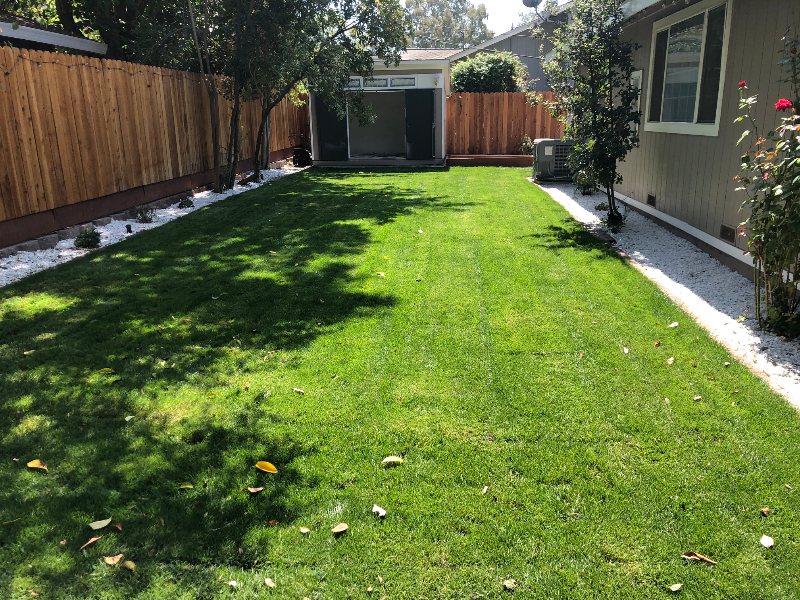 906 Sycamore Ln - Photo 3 of 12