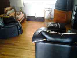 featured image of 481 S Wheeling St #3